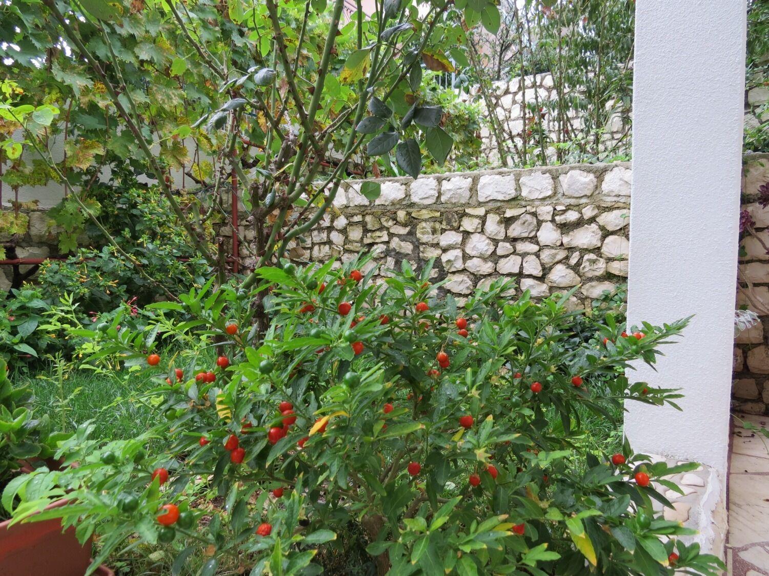 Apartment Bubi Trogir Kültér fotó